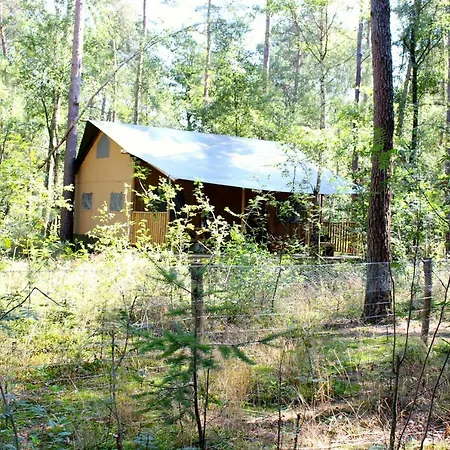 Veluwe Bush Camp * Ermelo