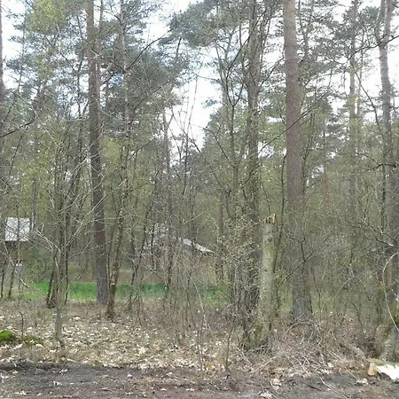 Veluwe Bush Camp * Ermelo